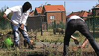 Chantecler à Jemappes