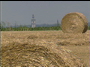 07/08/2009 - Quévy : Moisson - Portrait d'un loueur de machines agricoles