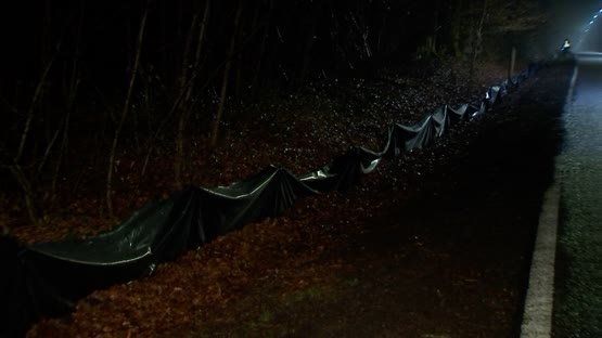 36361_sauvetage_batraciens_LGX3_0.jpg
