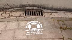36734_ici_commence_Mer2_SDT.jpg
