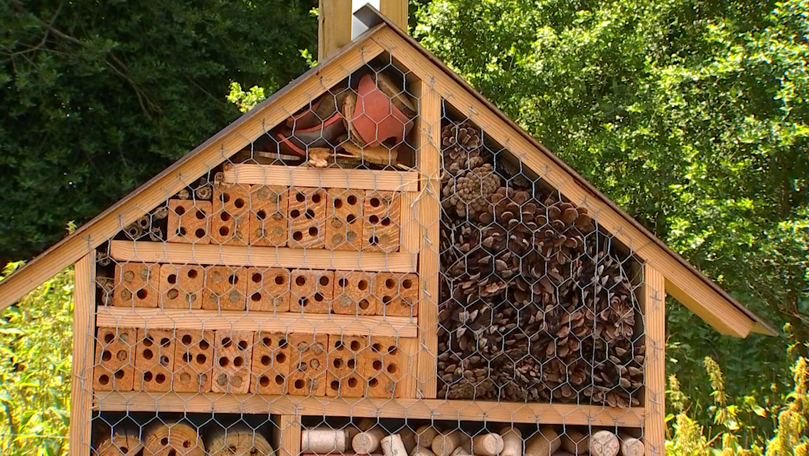 Un hôtel à insectes installé dans le Parc Communal 