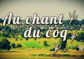 Au Chant du Coq - L'heure des vendanges!