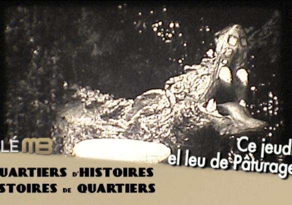 Ce jeudi dans Quartiers d'Histoires - El leu de Pâturages