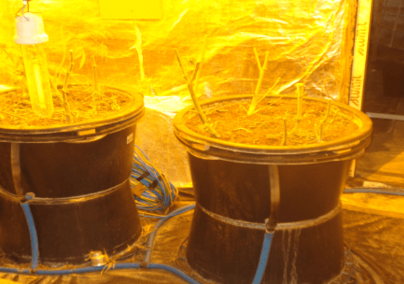 Colfontaine - Une importante saisie de cannabis ! 