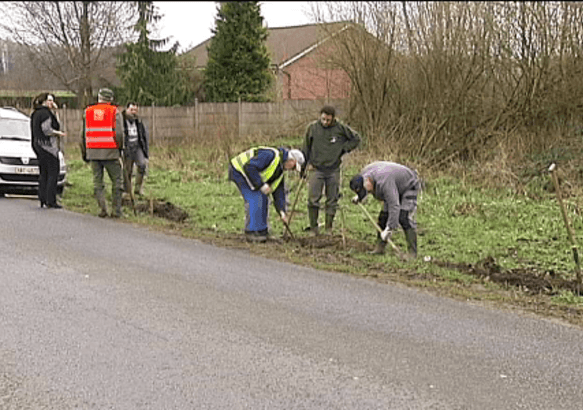 Goegnies-Chaussée - Des barrières pour sauver les grenouilles