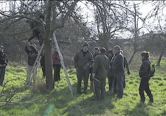 Mons - C'est le moment de tailler ses arbres fruitiers