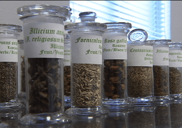 Mons - Découvrez les secrets des plantes médicinales