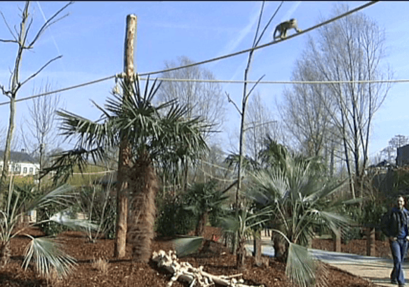 Cambron - Que savez-vous de la botanique de Pairi Daiza ?