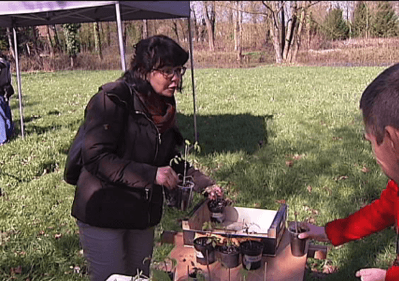 Jemappes - Mes tomates contre ton aubergine?