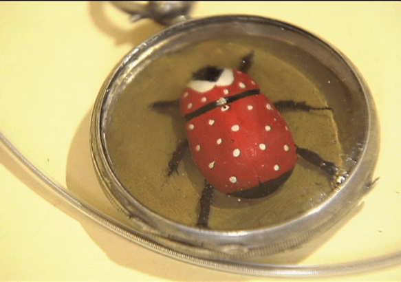 Saint-Ghislain - Sari Aupe fige les insectes et le temps