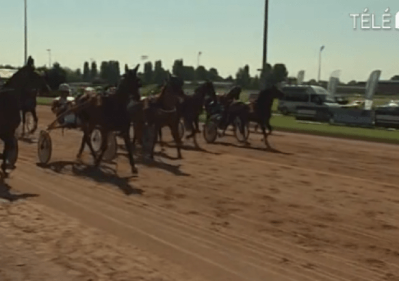 Ghlin : Le Quinté + à l'Hippodrome de Wallonie