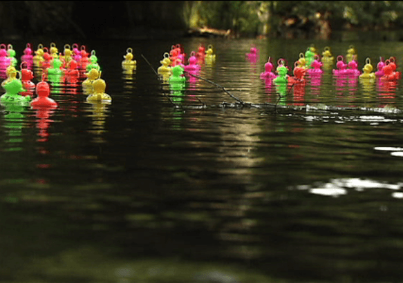 Angre : Grand prix de canards