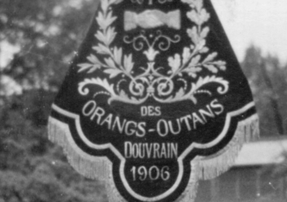 Quartiers d'Histoires: les Orangs-Outangs de Douvrain