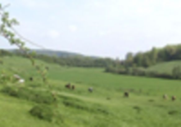 13/12/2012 - Nouvelles, poumon vert de Mons.