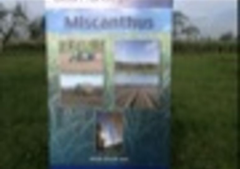 27/11/2007-Herchies:Journée d'information des fermiers : la culture du miscanthus