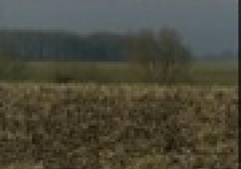18/12/2007-Mons:Les projets éoliens de l'Idea