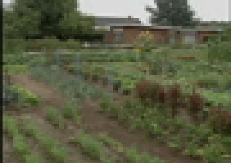 22/07/2009 - Colfontaine : Etude wallonne sur la qualité des eaux et des sols à Colfontaine