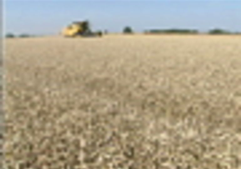 07/08/2009 - Dour : Moissons - Portrait de la ferme Brunin