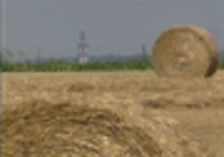 07/08/2009 - Quévy : Moisson - Portrait d'un loueur de machines agricoles