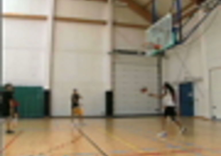 07/08/2009 - Mons : Stage de perfectionnement en basket féminin